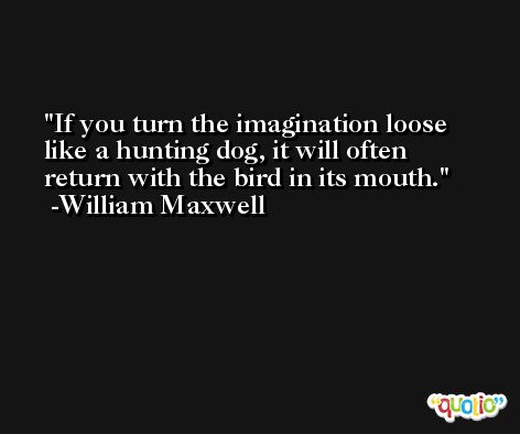 If you turn the imagination loose like a hunting dog, it will often return with the bird in its mouth. -William Maxwell