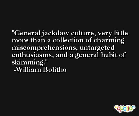 General jackdaw culture, very little more than a collection of charming miscomprehensions, untargeted enthusiasms, and a general habit of skimming. -William Bolitho