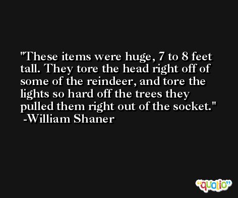 These items were huge, 7 to 8 feet tall. They tore the head right off of some of the reindeer, and tore the lights so hard off the trees they pulled them right out of the socket. -William Shaner