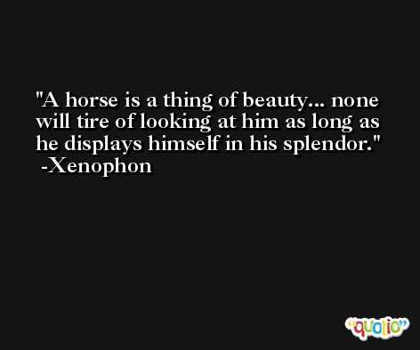 A horse is a thing of beauty... none will tire of looking at him as long as he displays himself in his splendor. -Xenophon