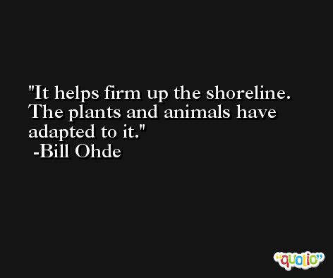 It helps firm up the shoreline. The plants and animals have adapted to it. -Bill Ohde
