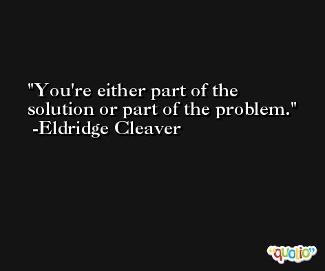 You're either part of the solution or part of the problem. -Eldridge Cleaver