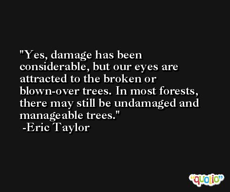 Yes, damage has been considerable, but our eyes are attracted to the broken or blown-over trees. In most forests, there may still be undamaged and manageable trees. -Eric Taylor