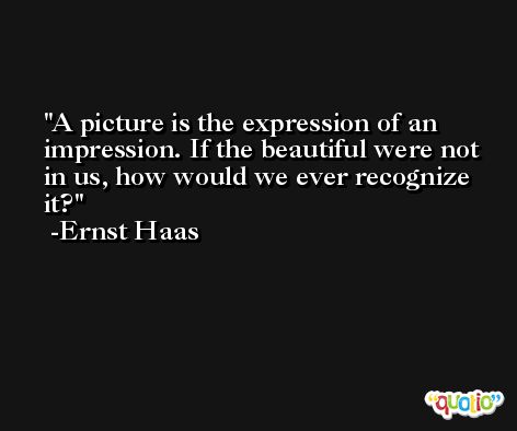A picture is the expression of an impression. If the beautiful were not in us, how would we ever recognize it? -Ernst Haas