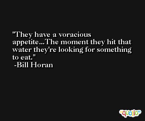 They have a voracious appetite...The moment they hit that water they're looking for something to eat. -Bill Horan