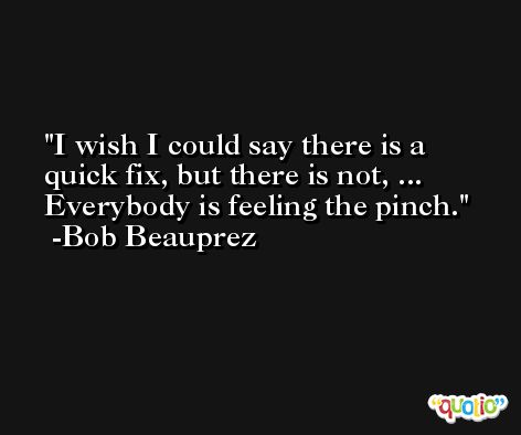 I wish I could say there is a quick fix, but there is not, ... Everybody is feeling the pinch. -Bob Beauprez