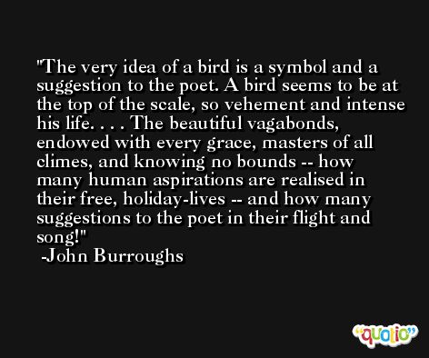 The very idea of a bird is a symbol and a suggestion to the poet. A bird seems to be at the top of the scale, so vehement and intense his life. . . . The beautiful vagabonds, endowed with every grace, masters of all climes, and knowing no bounds -- how many human aspirations are realised in their free, holiday-lives -- and how many suggestions to the poet in their flight and song! -John Burroughs