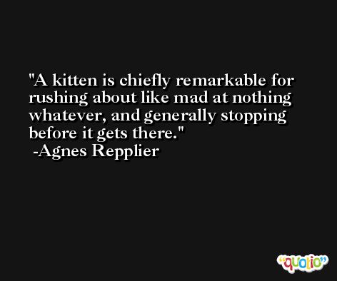 A kitten is chiefly remarkable for rushing about like mad at nothing whatever, and generally stopping before it gets there. -Agnes Repplier