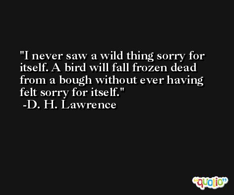 I never saw a wild thing sorry for itself. A bird will fall frozen dead from a bough without ever having felt sorry for itself. -D. H. Lawrence