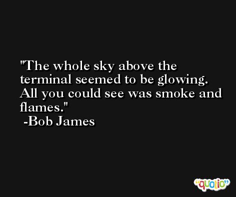 The whole sky above the terminal seemed to be glowing. All you could see was smoke and flames. -Bob James
