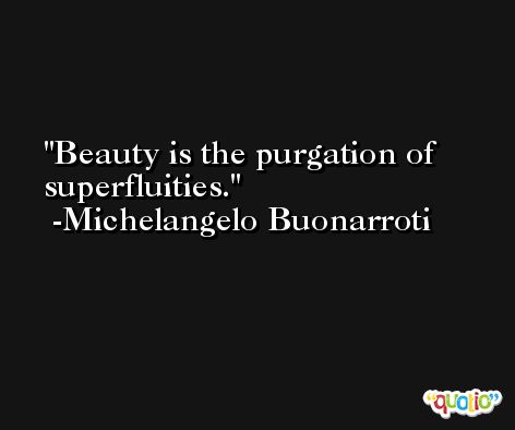 Beauty is the purgation of superfluities.  -Michelangelo Buonarroti