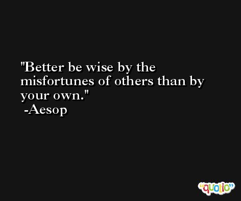 Better be wise by the misfortunes of others than by your own.  -Aesop