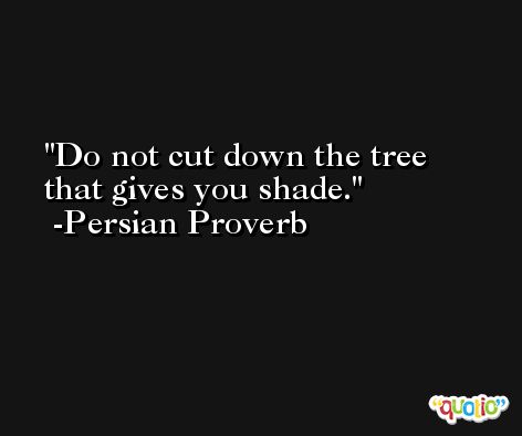 Do not cut down the tree that gives you shade.  -Persian Proverb