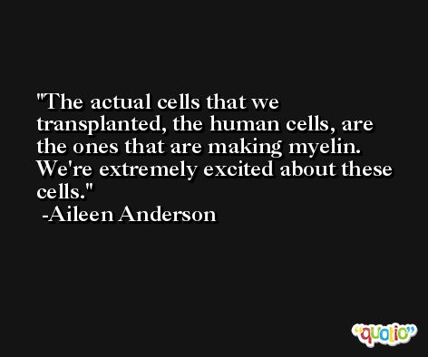 The actual cells that we transplanted, the human cells, are the ones that are making myelin. We're extremely excited about these cells. -Aileen Anderson