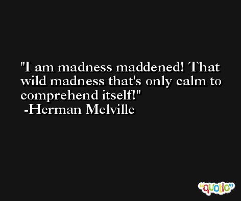 I am madness maddened! That wild madness that's only calm to comprehend itself! -Herman Melville