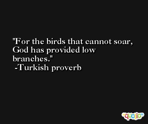 For the birds that cannot soar, God has provided low branches. -Turkish proverb