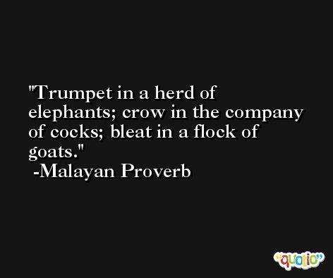 Trumpet in a herd of elephants; crow in the company of cocks; bleat in a flock of goats. -Malayan Proverb
