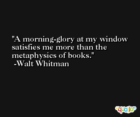 A morning-glory at my window satisfies me more than the metaphysics of books. -Walt Whitman