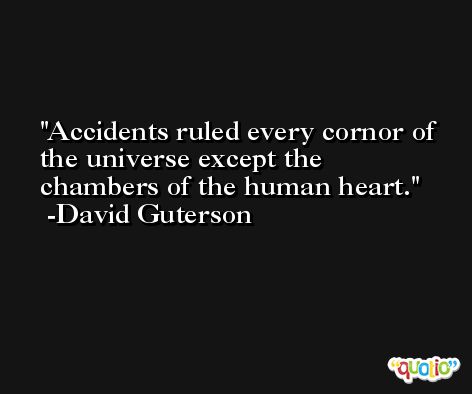 Accidents ruled every cornor of the universe except the chambers of the human heart. -David Guterson