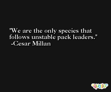 We are the only species that follows unstable pack leaders. -Cesar Millan