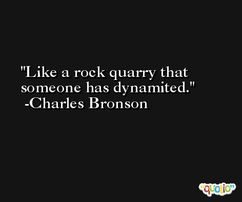 Like a rock quarry that someone has dynamited. -Charles Bronson
