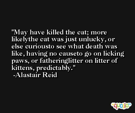 May have killed the cat; more likelythe cat was just unlucky, or else curiousto see what death was like, having no causeto go on licking paws, or fatheringlitter on litter of kittens, predictably. -Alastair Reid