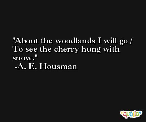 About the woodlands I will go / To see the cherry hung with snow. -A. E. Housman