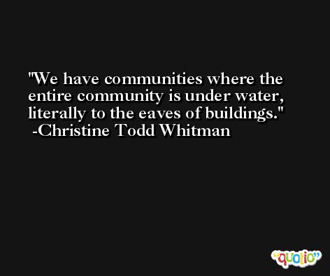 We have communities where the entire community is under water, literally to the eaves of buildings. -Christine Todd Whitman