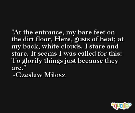 At the entrance, my bare feet on the dirt floor, Here, gusts of heat; at my back, white clouds. I stare and stare. It seems I was called for this: To glorify things just because they are. -Czeslaw Milosz