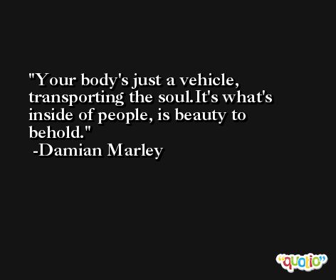 Your body's just a vehicle, transporting the soul.It's what's inside of people, is beauty to behold. -Damian Marley
