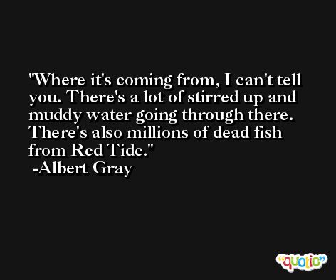 Where it's coming from, I can't tell you. There's a lot of stirred up and muddy water going through there. There's also millions of dead fish from Red Tide. -Albert Gray