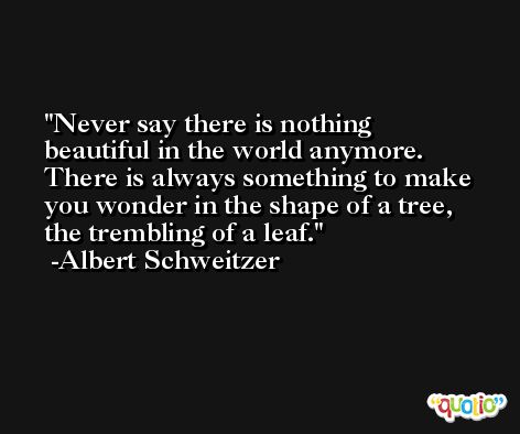 Never say there is nothing beautiful in the world anymore. There is always something to make you wonder in the shape of a tree, the trembling of a leaf. -Albert Schweitzer