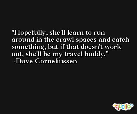 Hopefully, she'll learn to run around in the crawl spaces and catch something, but if that doesn't work out, she'll be my travel buddy. -Dave Corneliussen