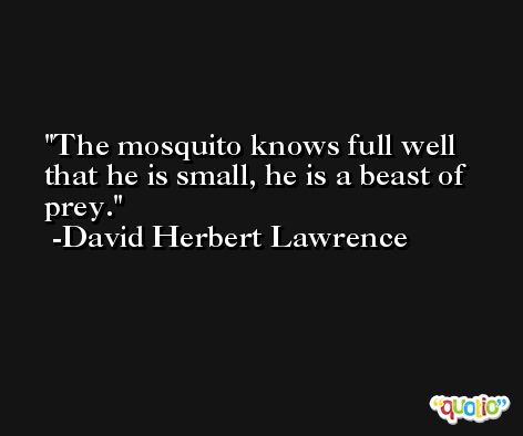 The mosquito knows full well that he is small, he is a beast of prey. -David Herbert Lawrence