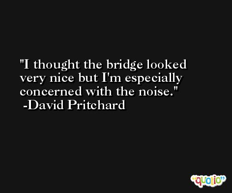 I thought the bridge looked very nice but I'm especially concerned with the noise. -David Pritchard