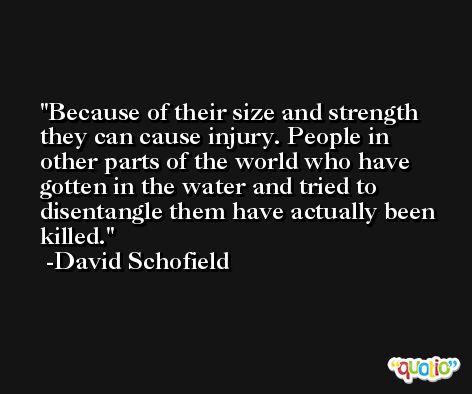 Because of their size and strength they can cause injury. People in other parts of the world who have gotten in the water and tried to disentangle them have actually been killed. -David Schofield