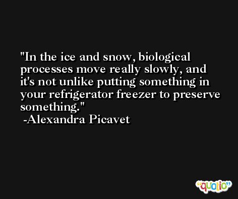 In the ice and snow, biological processes move really slowly, and it's not unlike putting something in your refrigerator freezer to preserve something. -Alexandra Picavet