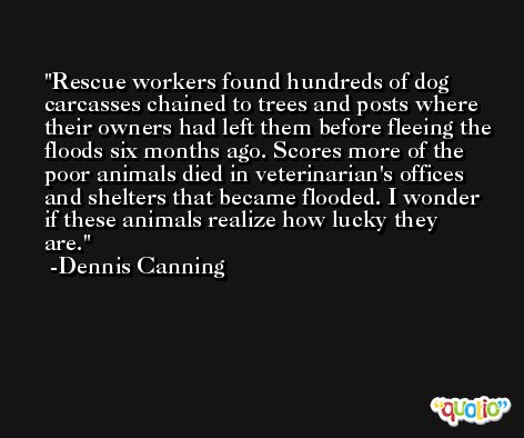 Rescue workers found hundreds of dog carcasses chained to trees and posts where their owners had left them before fleeing the floods six months ago. Scores more of the poor animals died in veterinarian's offices and shelters that became flooded. I wonder if these animals realize how lucky they are. -Dennis Canning