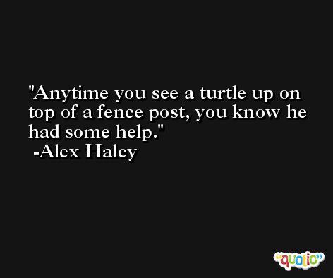 Anytime you see a turtle up on top of a fence post, you know he had some help. -Alex Haley