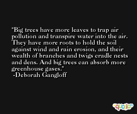 Big trees have more leaves to trap air pollution and transpire water into the air. They have more roots to hold the soil against wind and rain erosion, and their wealth of branches and twigs cradle nests and dens. And big trees can absorb more greenhouse gases. -Deborah Gangloff