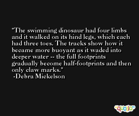 The swimming dinosaur had four limbs and it walked on its hind legs, which each had three toes. The tracks show how it became more buoyant as it waded into deeper water -- the full footprints gradually become half-footprints and then only claw marks. -Debra Mickelson