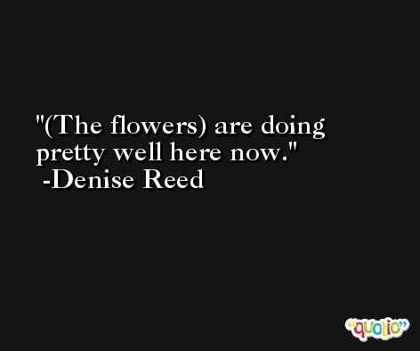 (The flowers) are doing pretty well here now. -Denise Reed