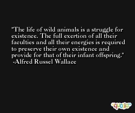 The life of wild animals is a struggle for existence. The full exertion of all their faculties and all their energies is required to preserve their own existence and provide for that of their infant offspring. -Alfred Russel Wallace