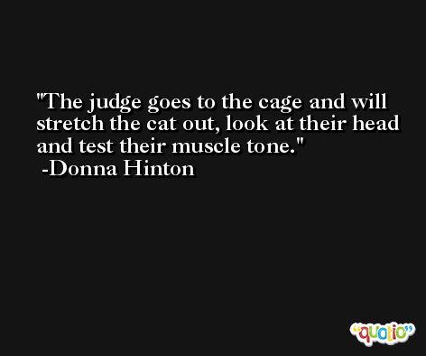 The judge goes to the cage and will stretch the cat out, look at their head and test their muscle tone. -Donna Hinton