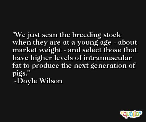 We just scan the breeding stock when they are at a young age - about market weight - and select those that have higher levels of intramuscular fat to produce the next generation of pigs. -Doyle Wilson