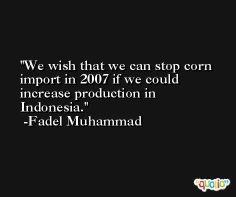 We wish that we can stop corn import in 2007 if we could increase production in Indonesia. -Fadel Muhammad