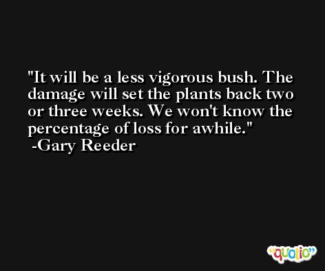 It will be a less vigorous bush. The damage will set the plants back two or three weeks. We won't know the percentage of loss for awhile. -Gary Reeder