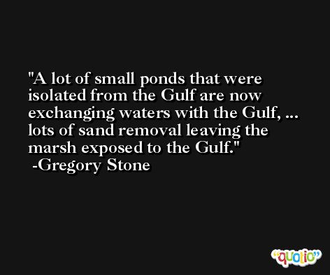A lot of small ponds that were isolated from the Gulf are now exchanging waters with the Gulf, ... lots of sand removal leaving the marsh exposed to the Gulf. -Gregory Stone