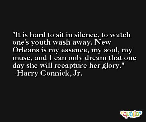 It is hard to sit in silence, to watch one's youth wash away. New Orleans is my essence, my soul, my muse, and I can only dream that one day she will recapture her glory. -Harry Connick, Jr.