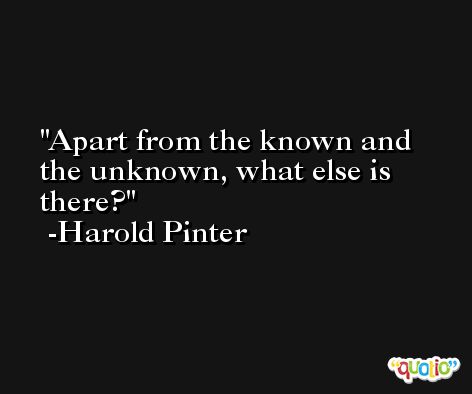 Apart from the known and the unknown, what else is there? -Harold Pinter
